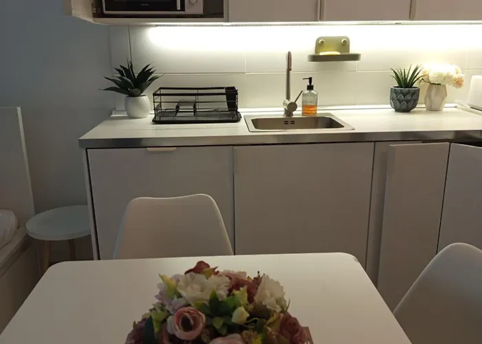 Duna Apartment, Freegarage, 2room, Smarttv,dishwasher,ac *