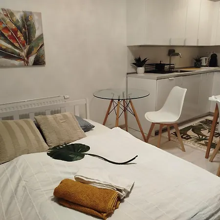 アパート Duna Apartment, Freegarage, 2room, Smarttv,dishwasher,ac From July 4th ブダペスト